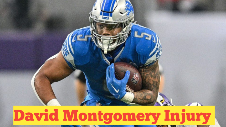 David Montgomery Injury​ : Updates, Impact, and Future Implications