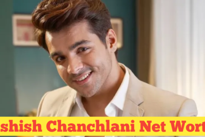 Ashish Chanchlani Net Worth​ : A Deep Dive into His Financial Success