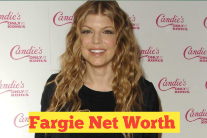 Fargie Net Worth : A Comprehensive Analysis