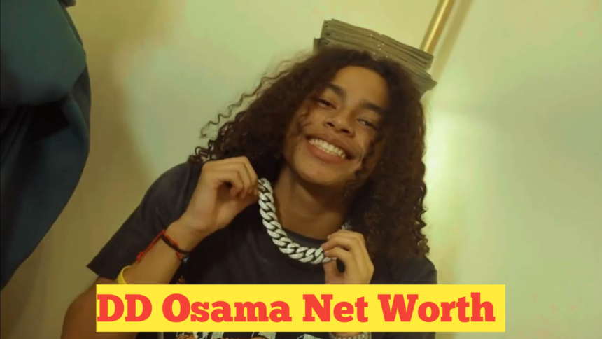 DD Osama Net Worth : Rising Rap Star's Financial Success