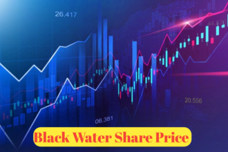 Blackwater Share Price : A Detailed Analysis and Investment Guide