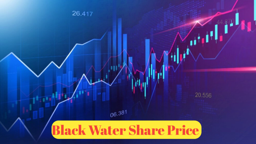 Blackwater Share Price : A Detailed Analysis and Investment Guide