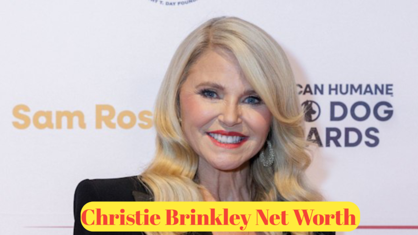 Christie Brinkley Net Worth : A Comprehensive Look at Her Career and Wealth